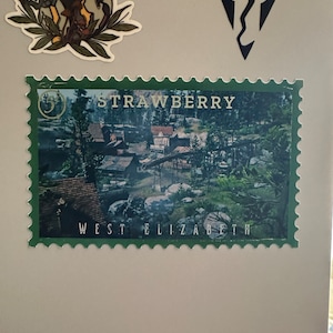 Hailey added a photo of their purchase