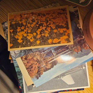 Répa added a photo of their purchase