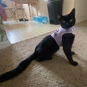 Aly added a photo of their purchase