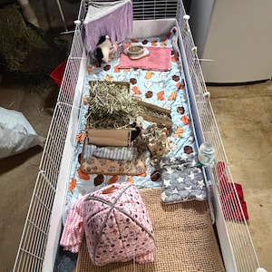 Summer added a photo of their purchase