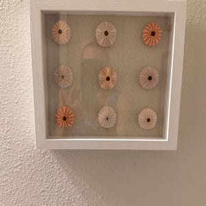 Shelley added a photo of their purchase