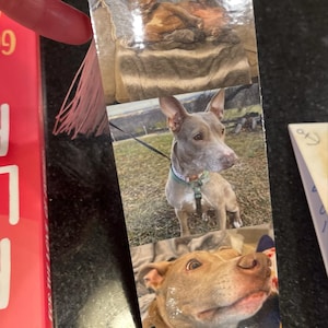 Allison added a photo of their purchase