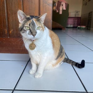 Neeko Vo added a photo of their purchase