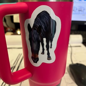 Brit added a photo of their purchase