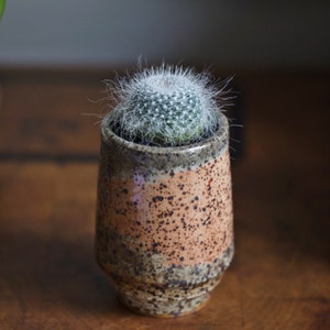 deanna added a photo of their purchase