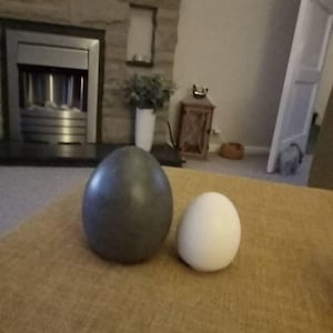 Donna added a photo of their purchase