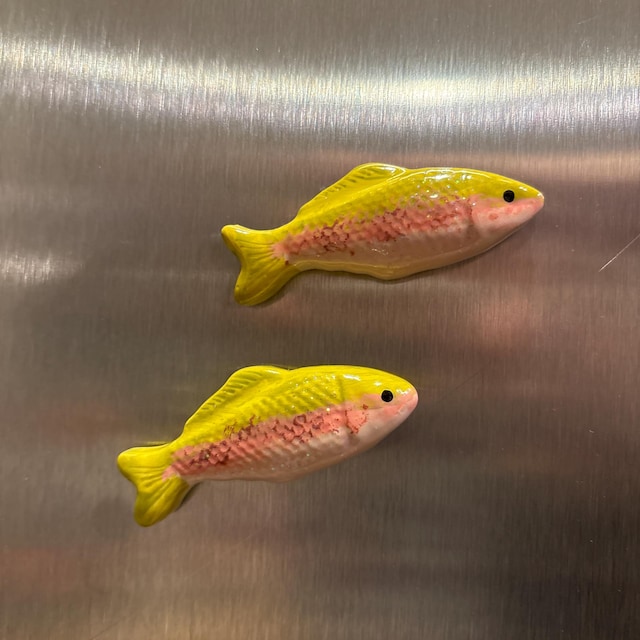 Handpainted Polymer Clay Trout Fish Magnet Set of 2 - Etsy
