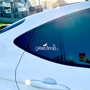 Rose added a photo of their purchase