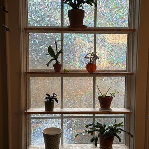 Cassandra added a photo of their purchase