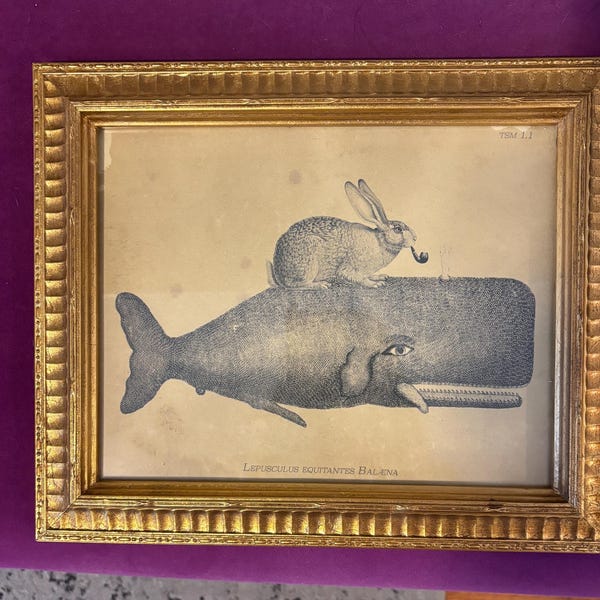 Bunny Rabbit Riding Whale – Vintage Collage Art Print on Tea-stained ...