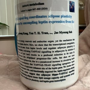 Lucy heeft een foto van de aankoop toegevoegd