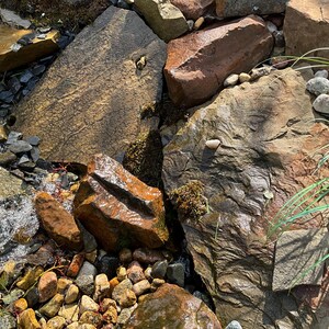 laura heeft een foto van zijn/haar aankoop toegevoegd