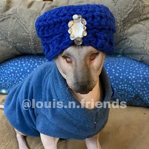 LARGE Custom Fancy Turban Cat/dog Hat Perfect for | Etsy