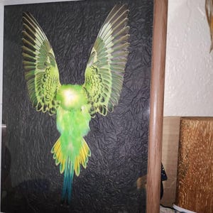 Angela a ajouté une photo de son achat