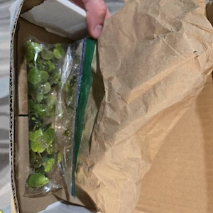 Christopher added a photo of their purchase