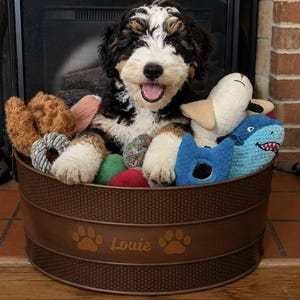 Andrea added a photo of their purchase