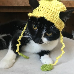 Lucy added a photo of their purchase