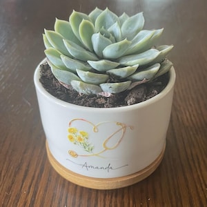 Tiffany added a photo of their purchase