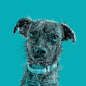 Tura added a photo of their purchase