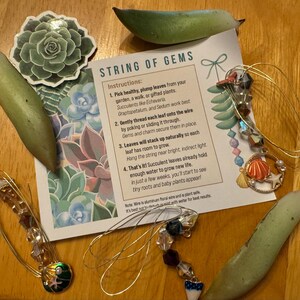 Heather added a photo of their purchase