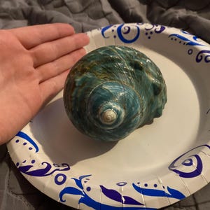 meghan added a photo of their purchase