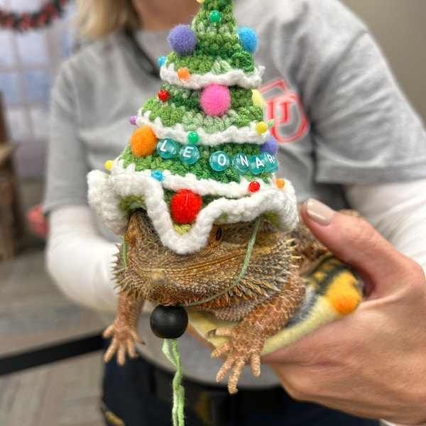 Crochet Headband Pattern for Bearded Dragon Set 3 - Etsy