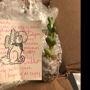 Dario added a photo of their purchase