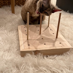 Celeste added a photo of their purchase
