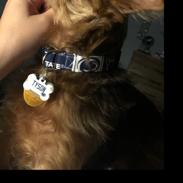 Penn State Nittany Lions Dog Collar - Team Spirit Ribbon Collar For Your Pup