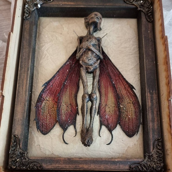 Mummified Dead Fairy Shadow Box – Cryptid Specimen, Gothic Curiosity ...