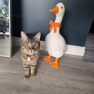 Madison ha aggiunto una foto del proprio acquisto