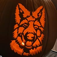 Dachshund Silhouette Series Printable Pumpkin Carving Pattern Weiner Iap 200x200.6414569106 Qrixs04k