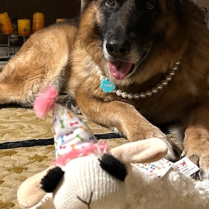 Andi added a photo of their purchase