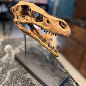 Myranda a ajouté une photo de son achat