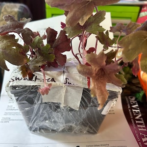 Donna added a photo of their purchase