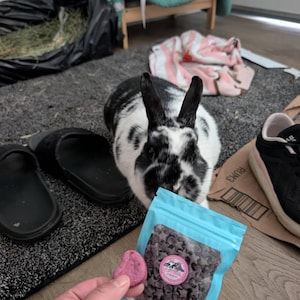 YaeJi added a photo of their purchase