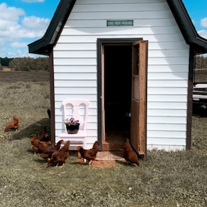 Erica added a photo of their purchase