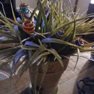 Kathleen added a photo of their purchase