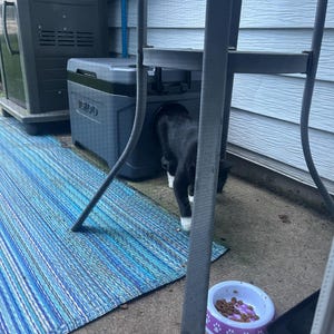 Athena added a photo of their purchase