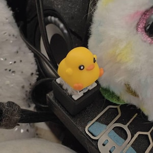 Teemu adicionaram uma foto da sua compra