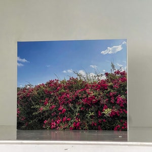 Driftwood added a photo of their purchase