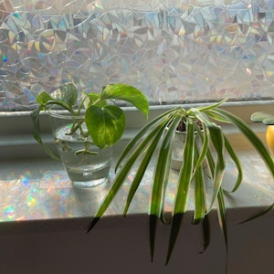 Erin added a photo of their purchase