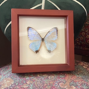 Sarah added a photo of their purchase