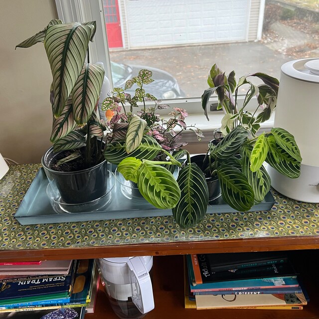 Set of Two, 24