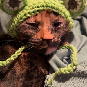 Anneliese ha añadido una foto de su compra