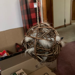 Bailey added a photo of their purchase
