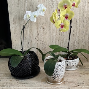 Michele added a photo of their purchase