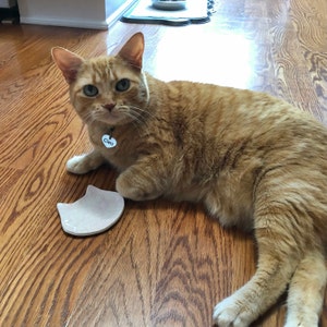 Joseph added a photo of their purchase