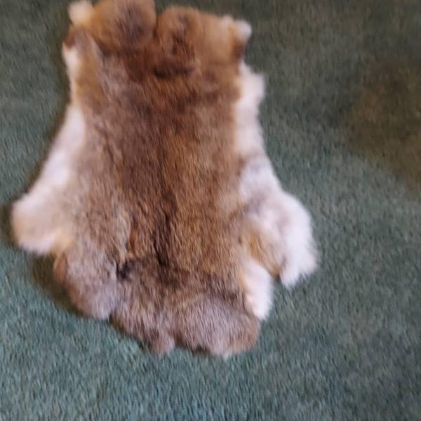 Gray and White Dutch Rabbit Hide - One Average - Natural Rabbit Fur ...