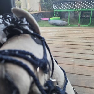 Lizz ha aggiunto una foto del proprio acquisto